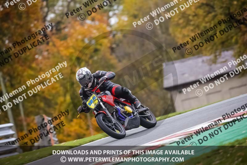 anglesey;brands hatch;cadwell park;croft;donington park;enduro digital images;event digital images;eventdigitalimages;mallory;no limits;oulton park;peter wileman photography;racing digital images;silverstone;snetterton;trackday digital images;trackday photos;vmcc banbury run;welsh 2 day enduro